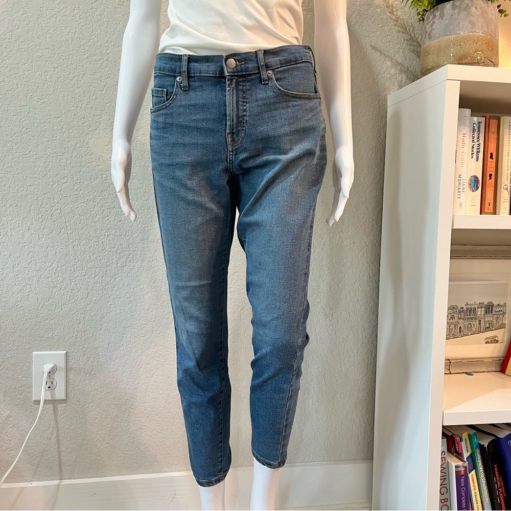 Everlane Stretch Midrise Skinny Jeans in Mid Blue